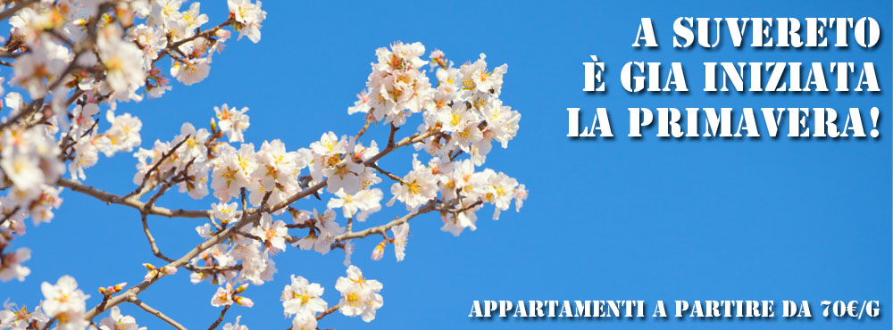 Mandorli in fiore in agriturismo a Suvereto