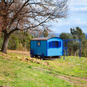 Casa vacanze Pavone Blu