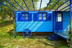 carrozzone-gitano-pavone-blu03